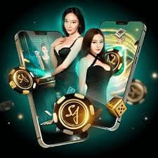 okthai99